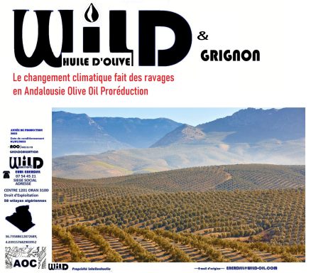 GRIGNON D'OLIVE    WILD HUILE D'OLIVE ENERDJIL 