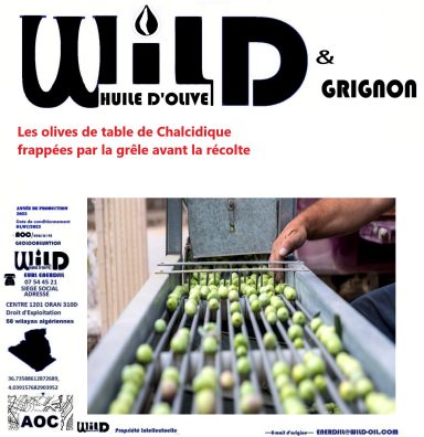 GRIGNON D'OLIVE    WILD HUILE D'OLIVE ENERDJIL 